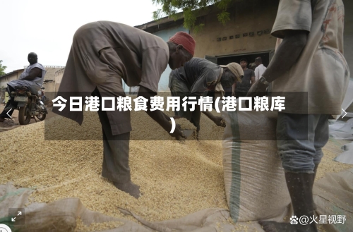 今日港口粮食费用行情(港口粮库)