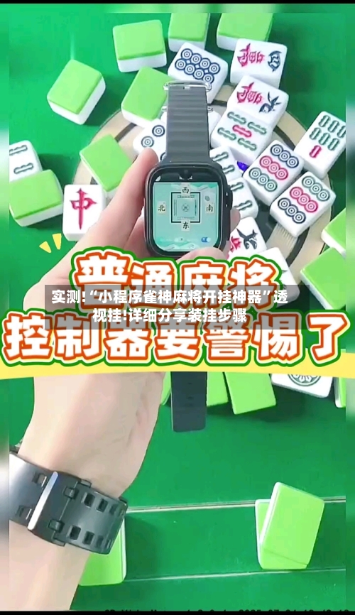 实测!“小程序雀神麻将开挂神器”透视挂!详细分享装挂步骤-第3张图片