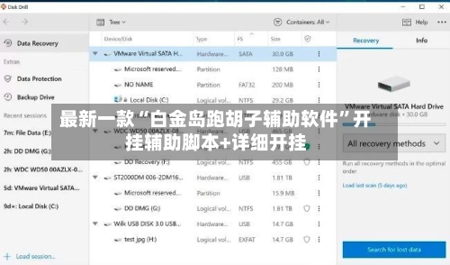 最新一款“白金岛跑胡子辅助软件”开挂辅助脚本+详细开挂-第3张图片