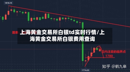 上海黄金交易所白银td实时行情/上海黄金交易所白银费用查询-第3张图片