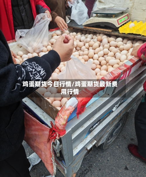 鸡蛋期货今日行情/鸡蛋期货最新费用行情