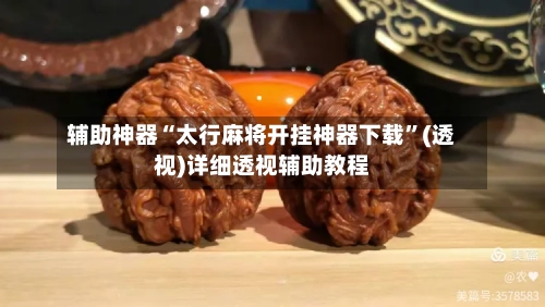 辅助神器“太行麻将开挂神器下载”(透视)详细透视辅助教程-第3张图片