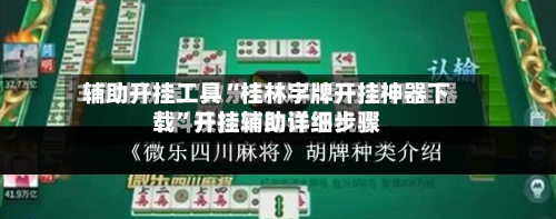 辅助开挂工具“桂林字牌开挂神器下载”开挂辅助详细步骤-第3张图片