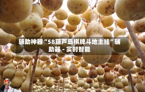 辅助神器“58葫芦岛棋牌斗地主挂	”辅助器 - 实时智能-第2张图片