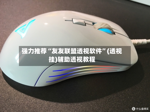 强力推荐“友友联盟透视软件	”(透视挂)辅助透视教程-第2张图片