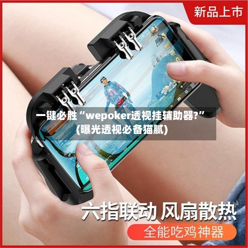 一键必胜“wepoker透视挂辅助器?”(曝光透视必备猫腻)-第3张图片