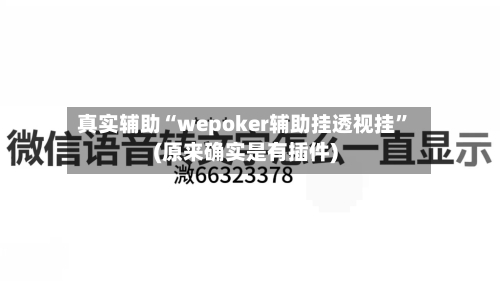 真实辅助“wepoker辅助挂透视挂”(原来确实是有插件)-第2张图片