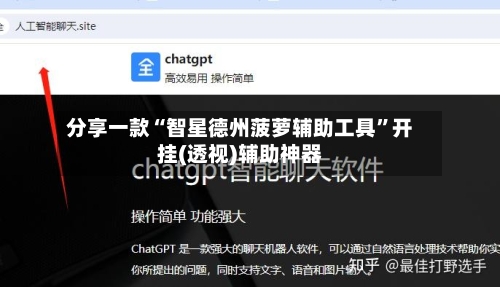 分享一款“智星德州菠萝辅助工具”开挂(透视)辅助神器-第3张图片