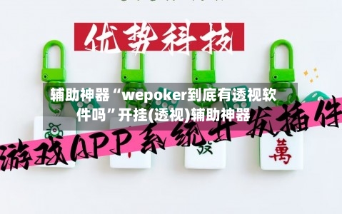 辅助神器“wepoker到底有透视软件吗	”开挂(透视)辅助神器-第2张图片