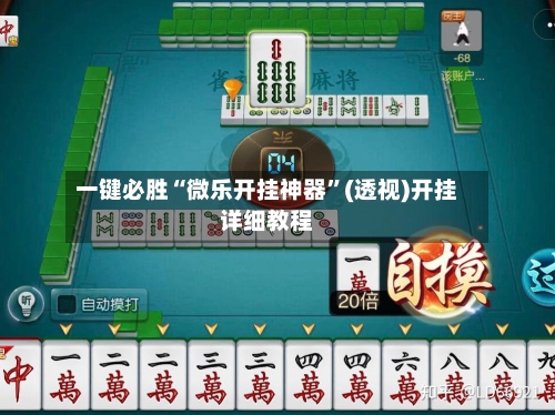 一键必胜“微乐开挂神器”(透视)开挂详细教程-第2张图片