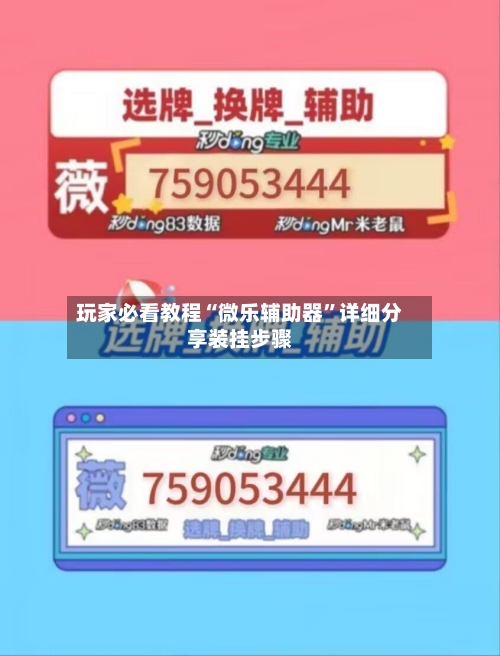 玩家必看教程“微乐辅助器”详细分享装挂步骤-第2张图片