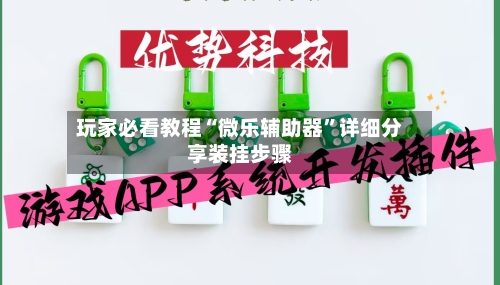 玩家必看教程“微乐辅助器”详细分享装挂步骤-第3张图片