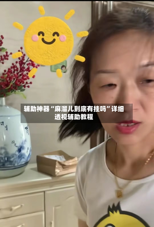 辅助神器“麻溜儿到底有挂吗”详细透视辅助教程-第2张图片