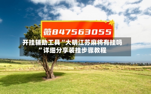 开挂辅助工具“大明江苏麻将有挂吗”详细分享装挂步骤教程-第2张图片