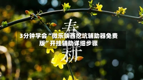 3分钟学会“微乐陕西挖坑辅助器免费版	”开挂辅助详细步骤-第3张图片