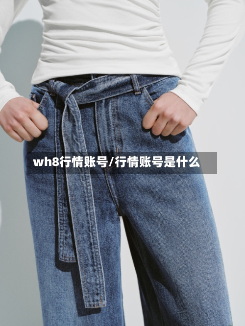 wh8行情账号/行情账号是什么