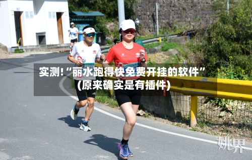 实测!“丽水跑得快免费开挂的软件”(原来确实是有插件)-第2张图片