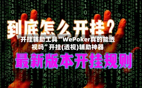 开挂辅助工具“WePoker真的能透视吗”开挂(透视)辅助神器-第3张图片