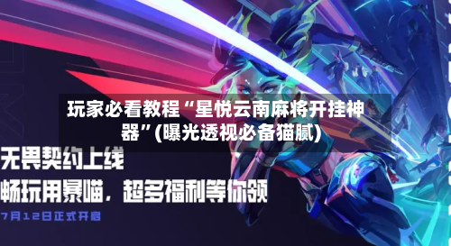 玩家必看教程“星悦云南麻将开挂神器”(曝光透视必备猫腻)-第3张图片