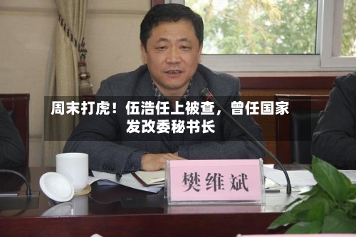 周末打虎！伍浩任上被查，曾任国家发改委秘书长-第3张图片