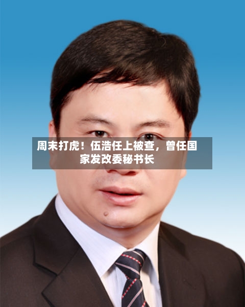 周末打虎！伍浩任上被查，曾任国家发改委秘书长-第2张图片