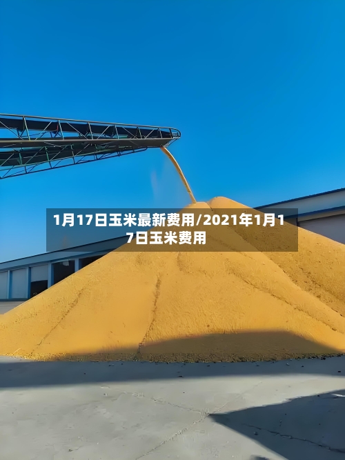 1月17日玉米最新费用/2021年1月17日玉米费用-第2张图片