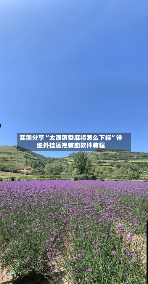 实测分享“太浪镇赉麻将怎么下挂”详细外挂透视辅助软件教程-第3张图片