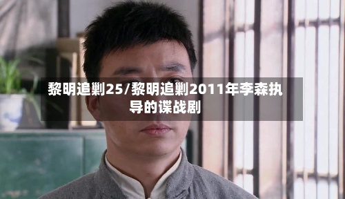 黎明追剿25/黎明追剿2011年李森执导的谍战剧-第2张图片