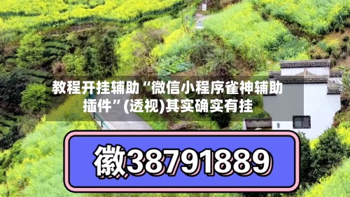 教程开挂辅助“微信小程序雀神辅助插件”(透视)其实确实有挂