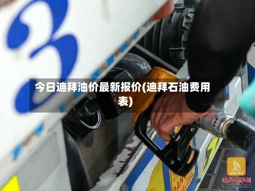 今日迪拜油价最新报价(迪拜石油费用表)
