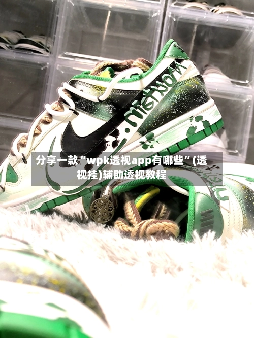 分享一款“wpk透视app有哪些	”(透视挂)辅助透视教程-第3张图片