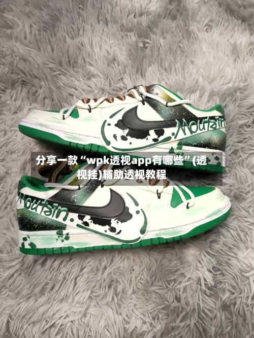 分享一款“wpk透视app有哪些”(透视挂)辅助透视教程-第2张图片