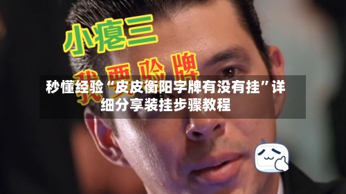 秒懂经验“皮皮衡阳字牌有没有挂	”详细分享装挂步骤教程-第3张图片