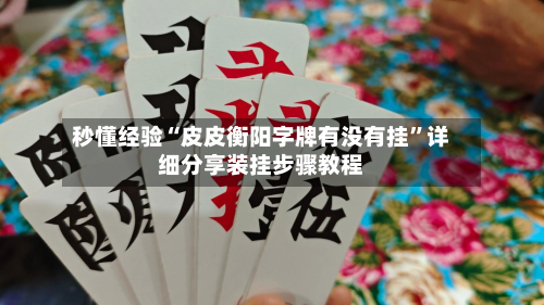 秒懂经验“皮皮衡阳字牌有没有挂”详细分享装挂步骤教程-第2张图片