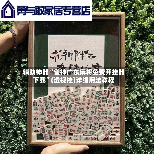 辅助神器“雀神广东麻将免费开挂器下载”(透视挂)详细用法教程-第2张图片