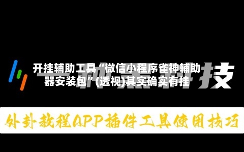 开挂辅助工具“微信小程序雀神辅助器安装包”(透视)其实确实有挂-第2张图片