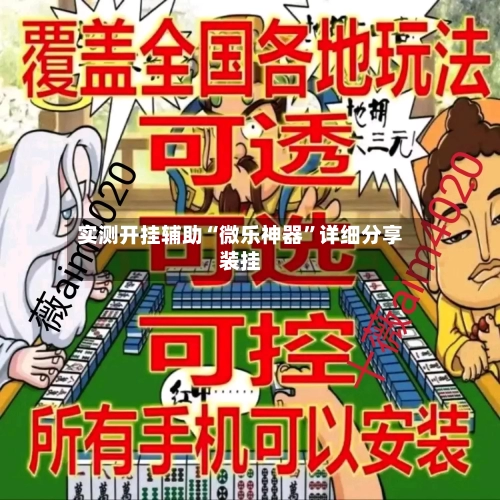 实测开挂辅助“微乐神器”详细分享装挂-第2张图片
