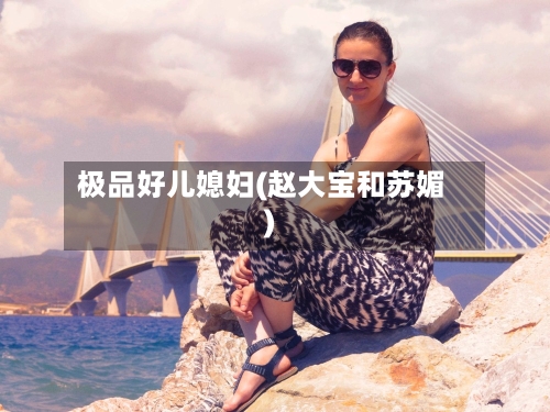 极品好儿媳妇(赵大宝和苏媚)