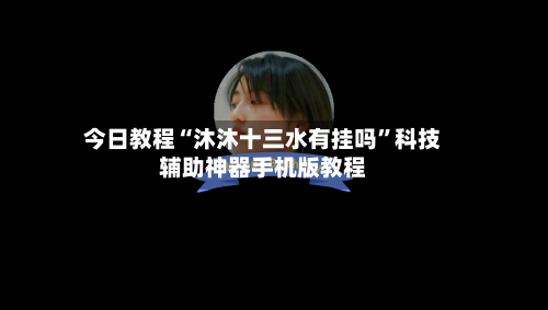今日教程“沐沐十三水有挂吗	”科技辅助神器手机版教程-第2张图片