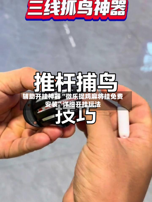 辅助开挂神器“微乐捉鸡麻将挂免费安装	”详细开挂玩法-第2张图片