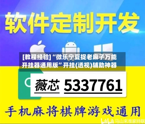 [教程经验]“微乐宁夏捉老麻子万能开挂器通用版	”开挂(透视)辅助神器-第2张图片