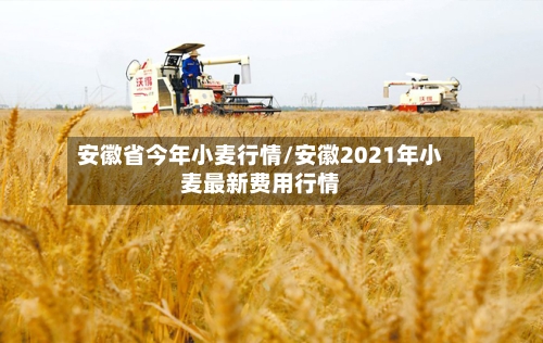 安徽省今年小麦行情/安徽2021年小麦最新费用行情-第1张图片