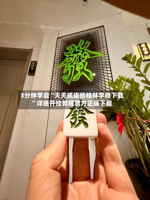 3分钟学会“天天贰柒拾桂林字牌下载”详细开挂教程官方正版下载-第2张图片