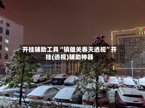 开挂辅助工具“镇雄关春天透视	”开挂(透视)辅助神器-第2张图片