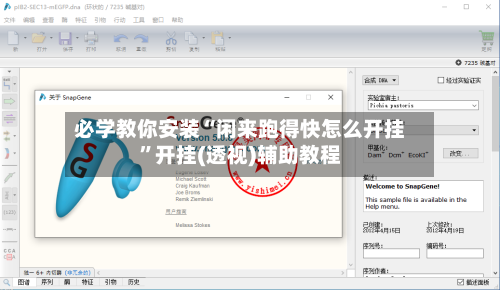 必学教你安装“闲来跑得快怎么开挂”开挂(透视)辅助教程-第2张图片