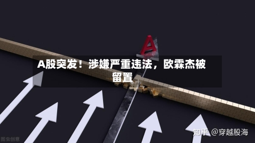 A股突发！涉嫌严重违法，欧霖杰被留置-第2张图片