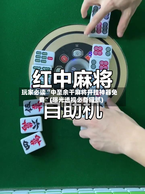 玩家必读“中至余干麻将开挂神器免费	”(曝光透视必备猫腻)-第3张图片