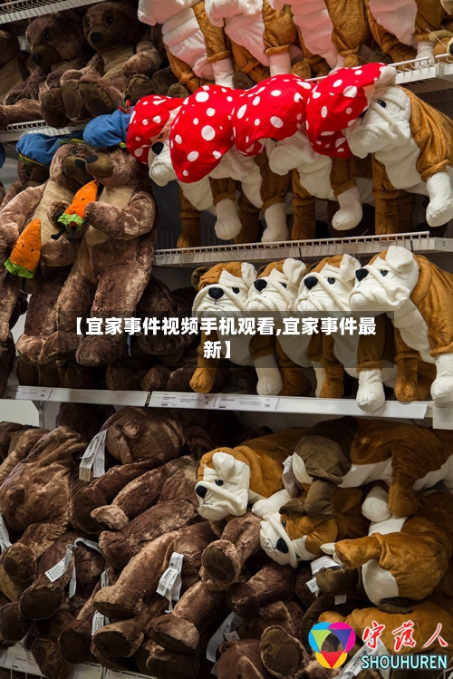 【宜家事件视频手机观看,宜家事件最新】-第2张图片