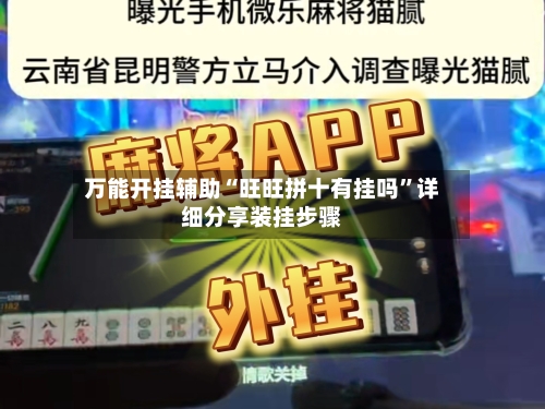 万能开挂辅助“旺旺拼十有挂吗”详细分享装挂步骤-第3张图片