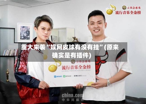 重大来袭“娱网皮球有没有挂	”(原来确实是有插件)-第2张图片